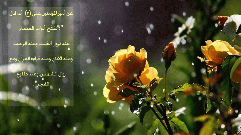 أبواب الرحمة الإلهية