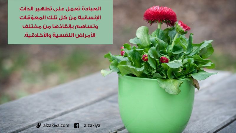 أهمية العبادة في حياة الإنسان