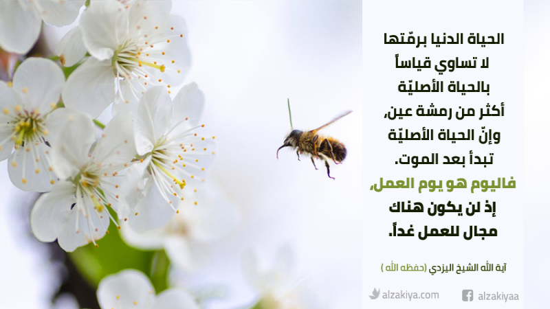 فائدة العمل الخالص