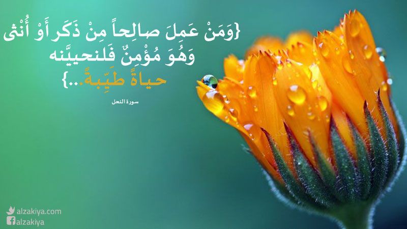 مكانة المرأة المرموقة