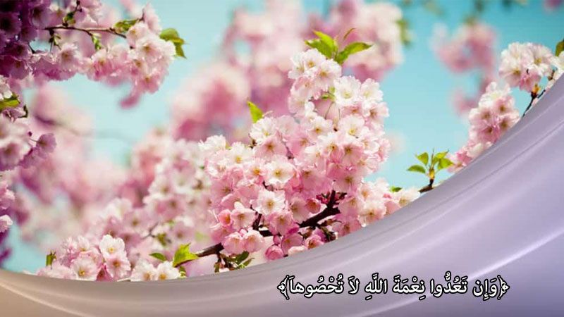 أهل السلوك والتزوّد بالنعم الإلهية الباطنية