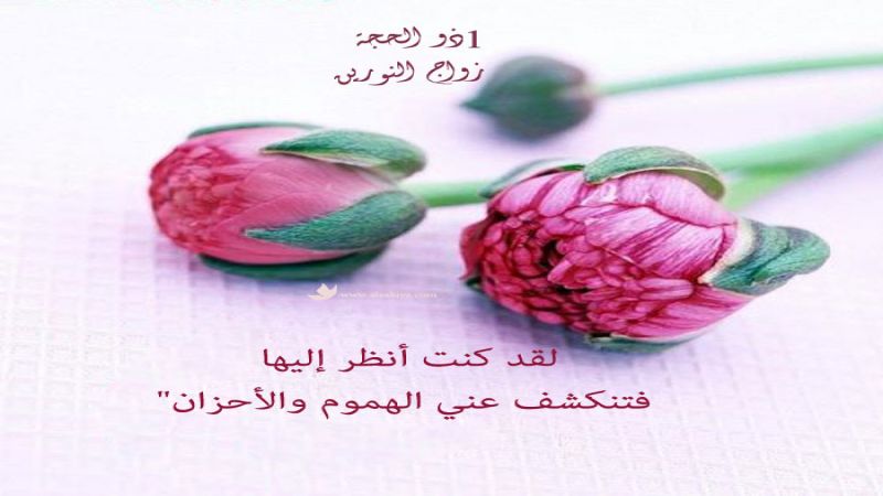 زواج النورين